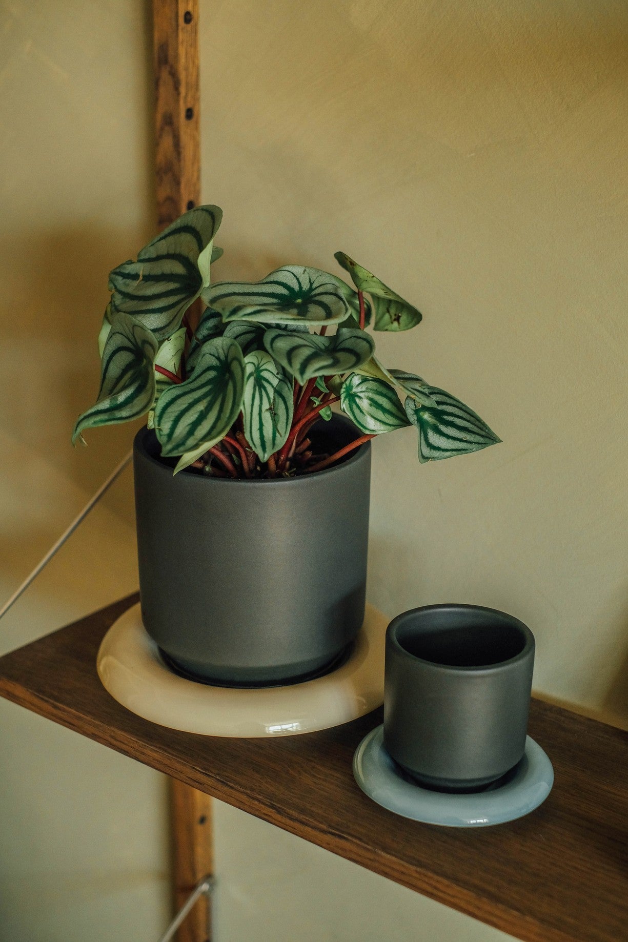 Bergs Potter - LILY - Pflanzentopf