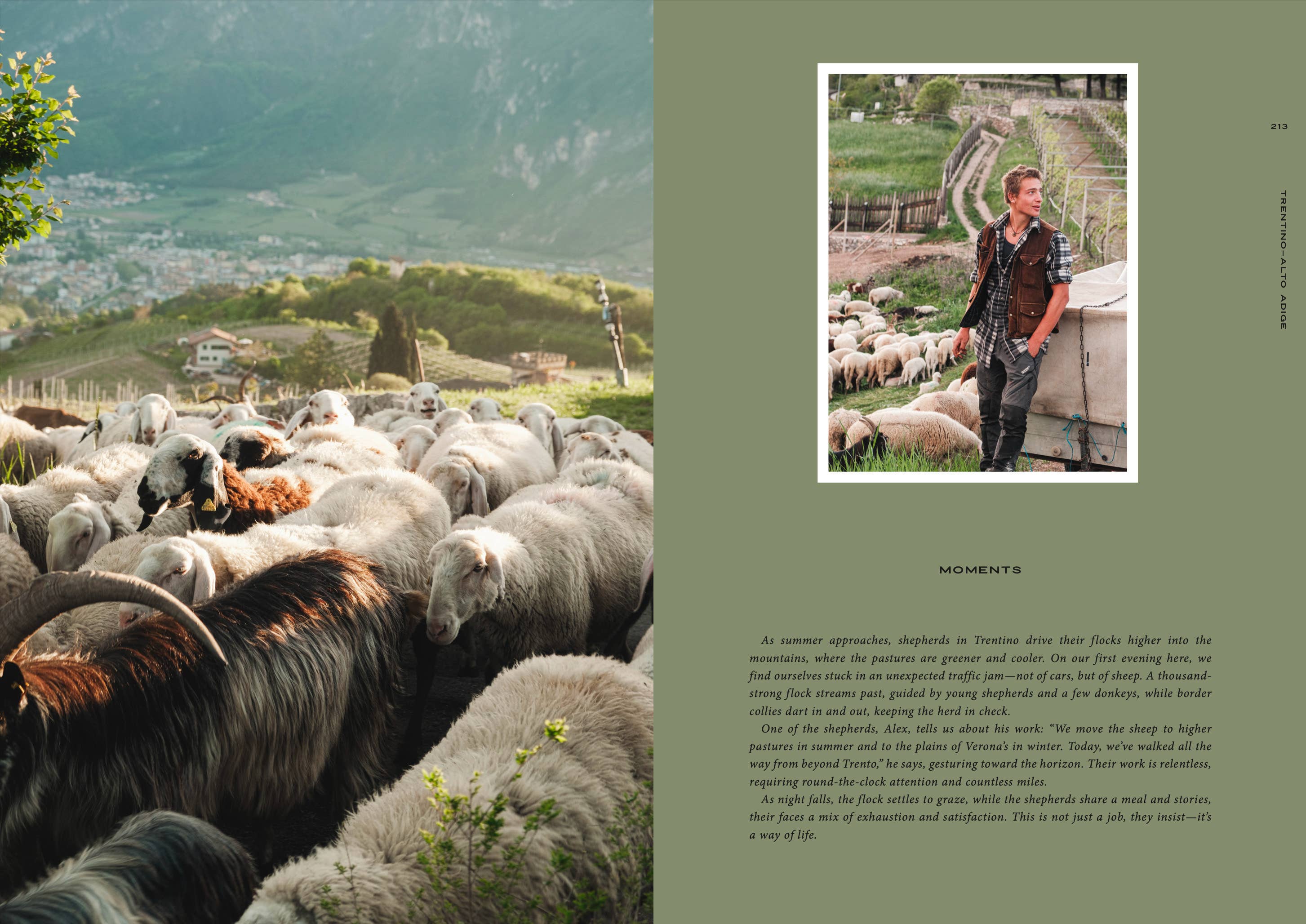 Cozy Publishing - Reiseführer: Somewhere in Italy