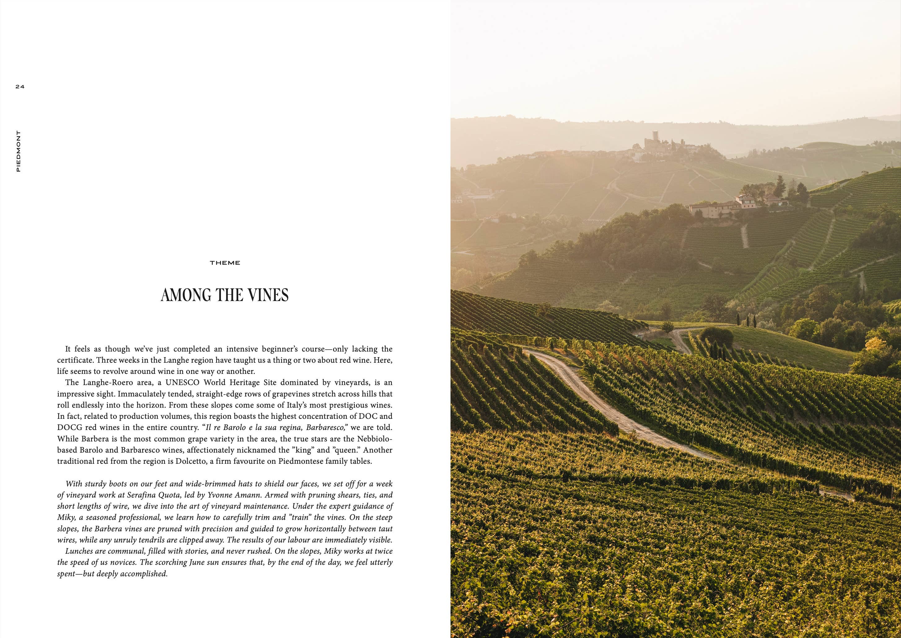 Cozy Publishing - Reiseführer: Somewhere in Italy