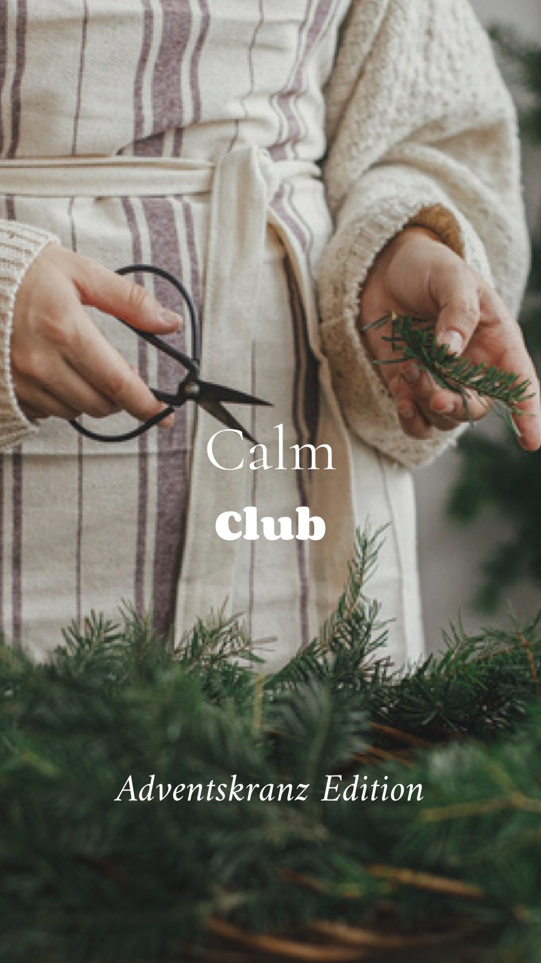 STUDIO LIV - Calm Club 2026