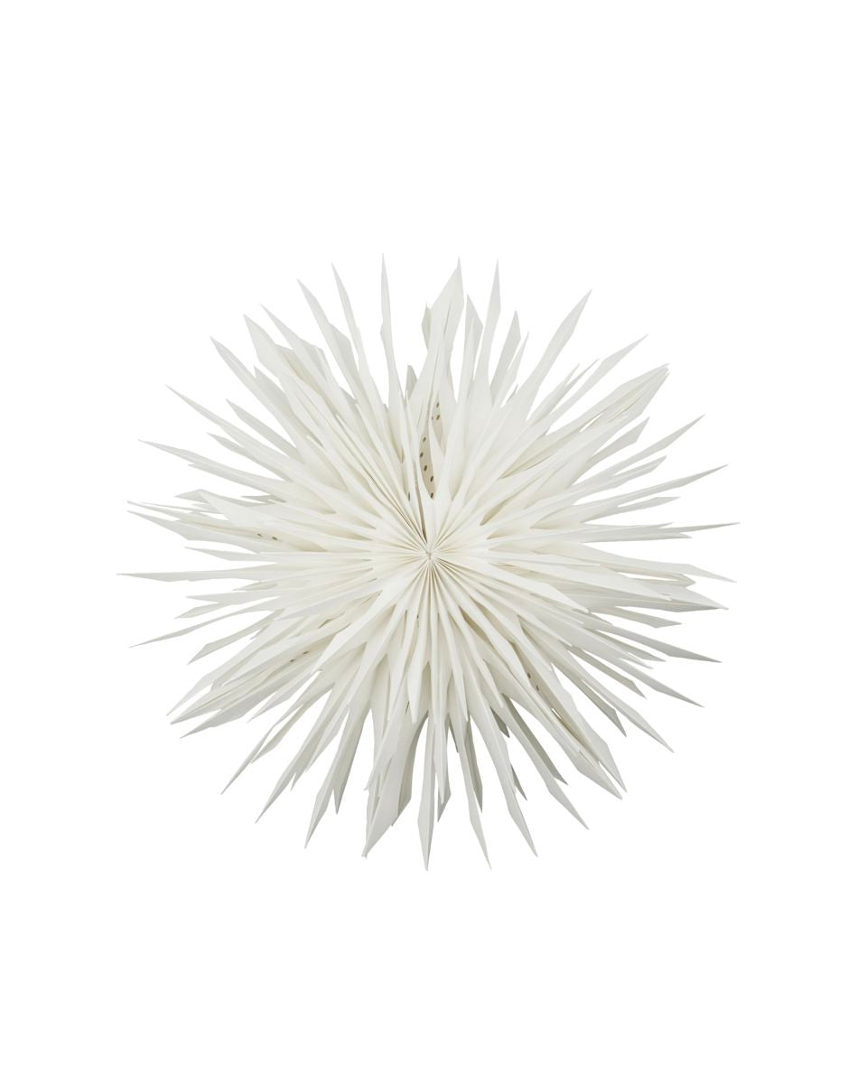 House Doctor - Stern REEF 50cm