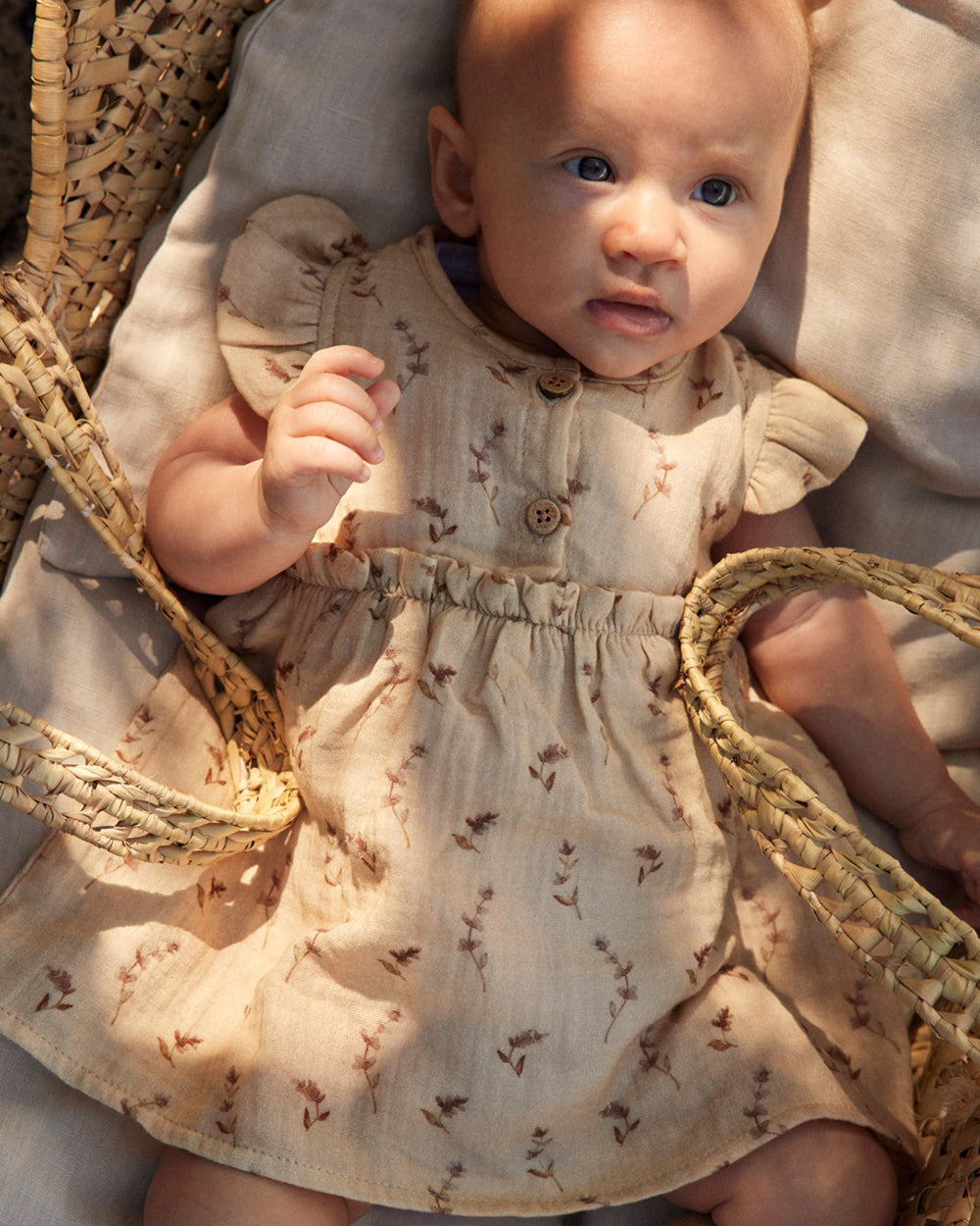Lil' Atelier - Baby-Kleid mit Rüschen HELLA - pebble